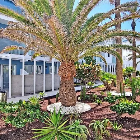 Apartamento Flora Corralejo